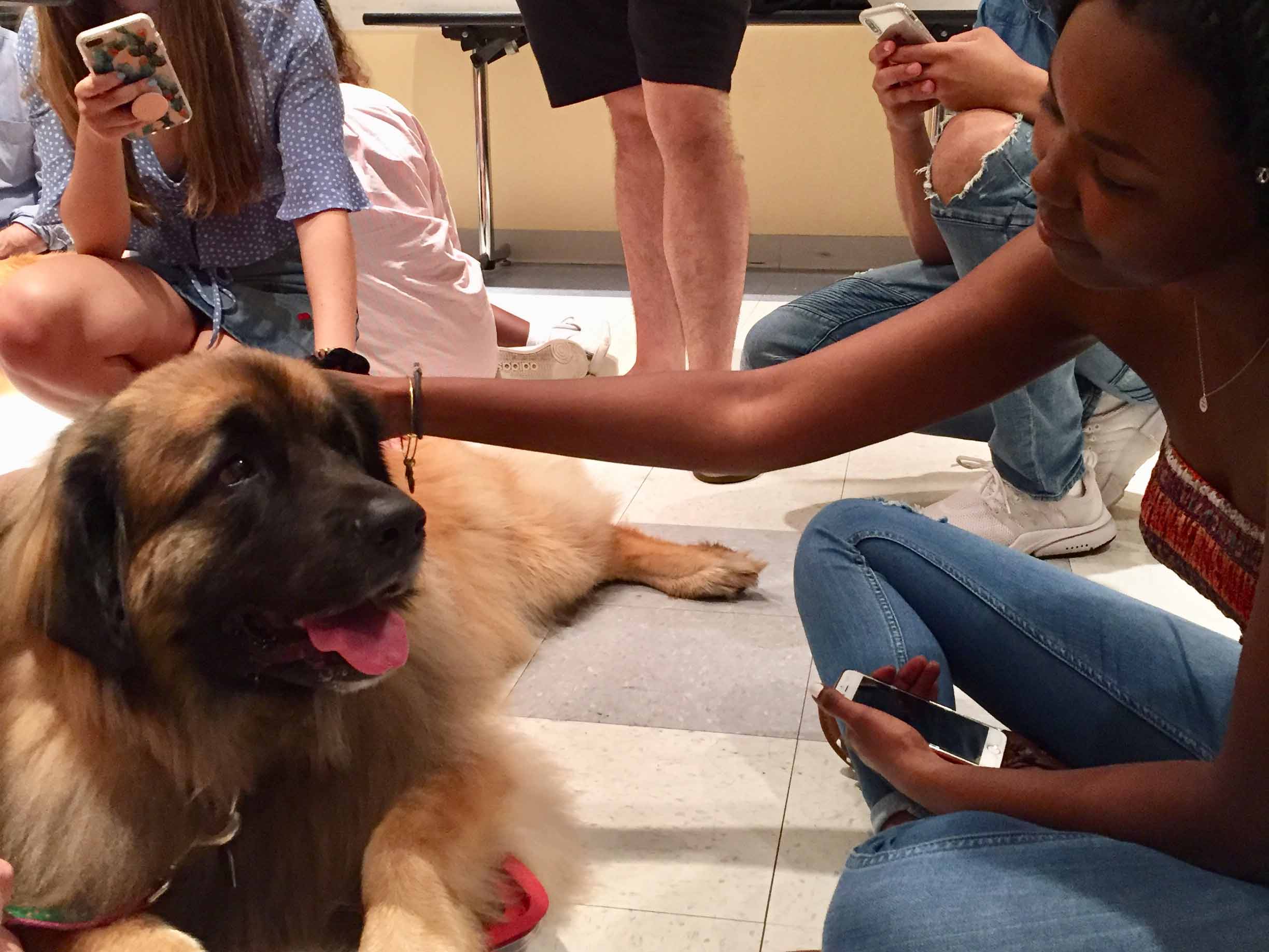 Students petting a puppy