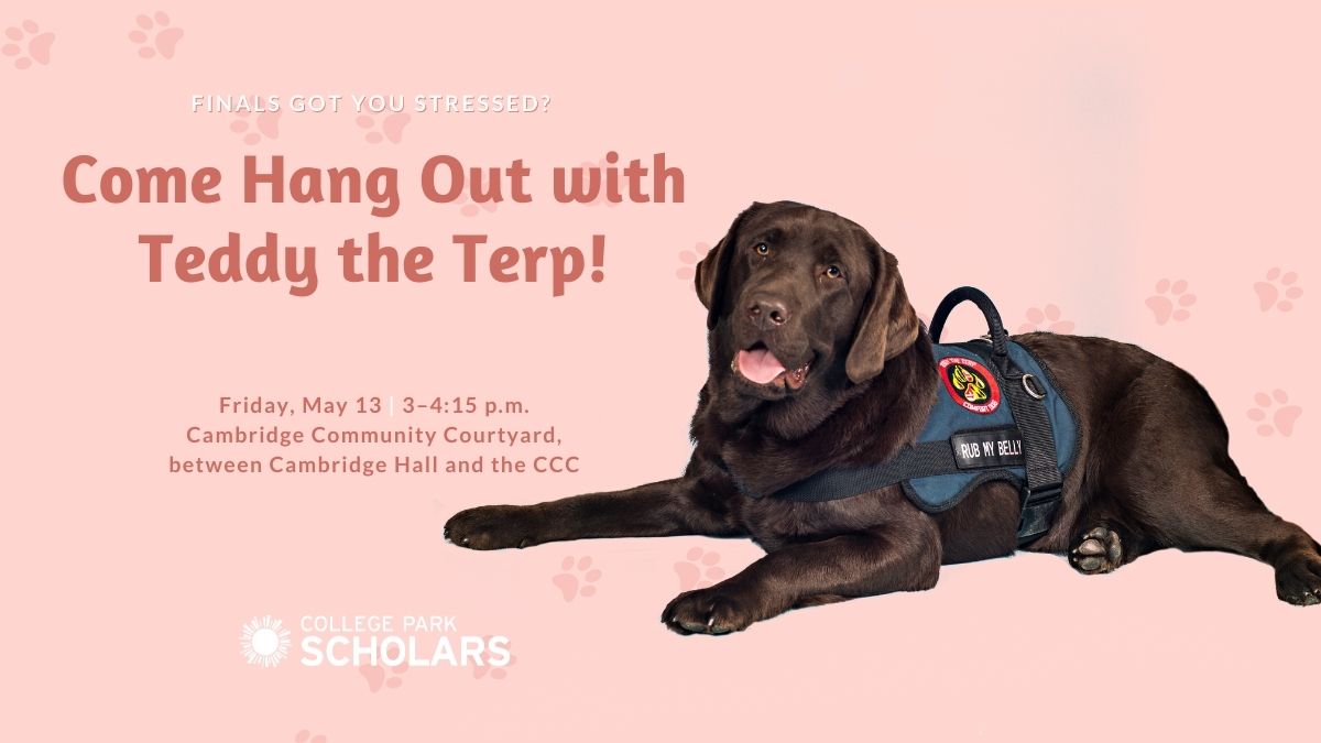 Pink background with photo of brown labrador retriever in foreground, with the words "Finals got you stressed? Come hand out with Teddy the Terp!"