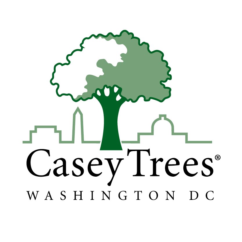 casey trees logo