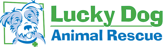 lucky dog animal rescue logo