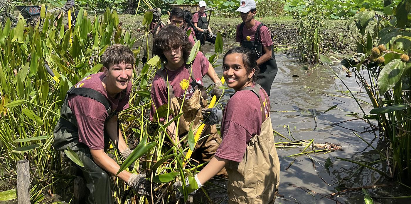 students in swamp loading greenery