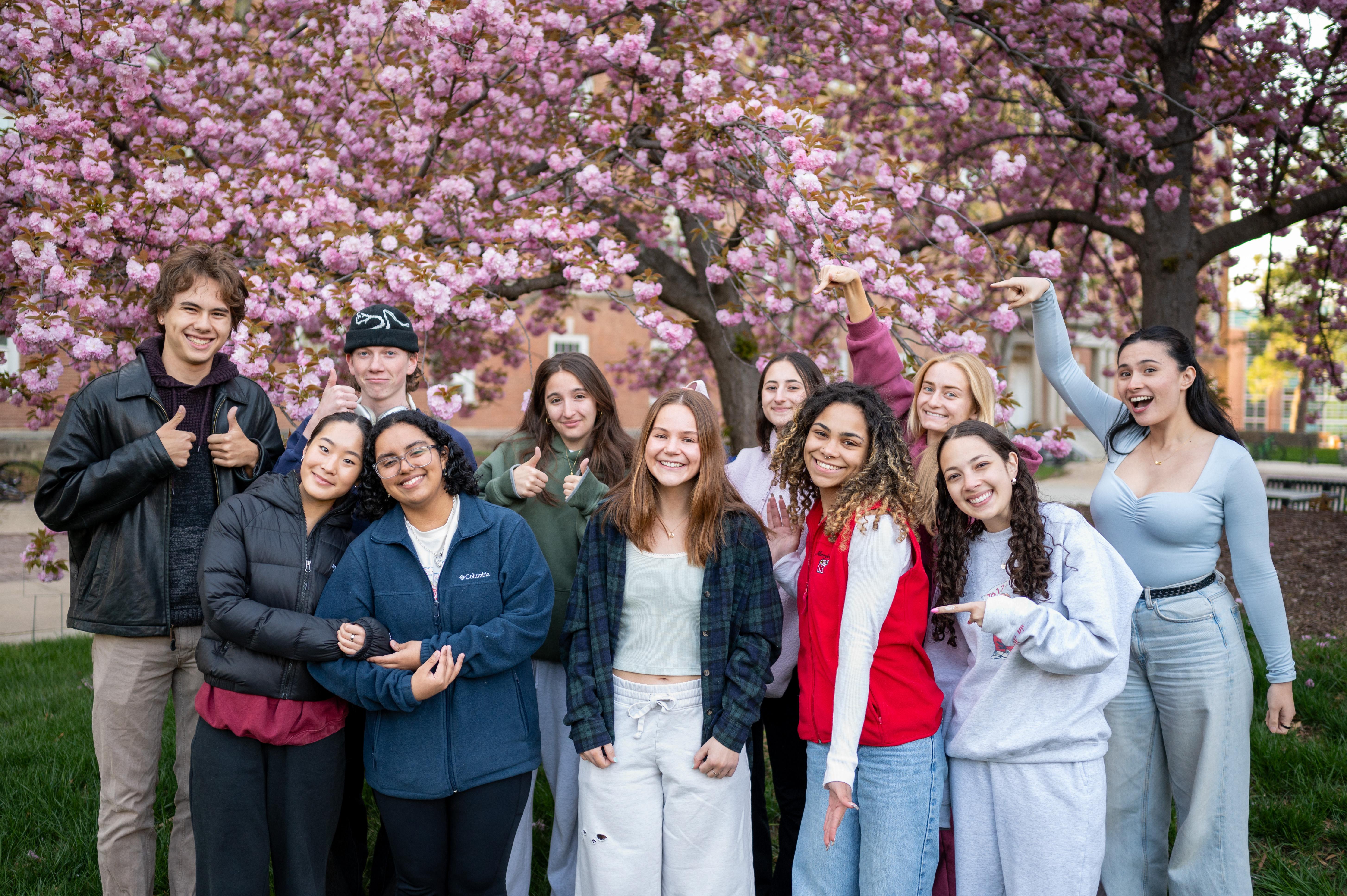 students smiling with thumbs up under a blooming pink cherry blossom tree