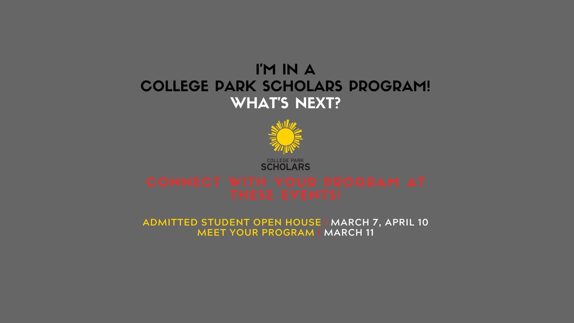 i'm in a program so what's next