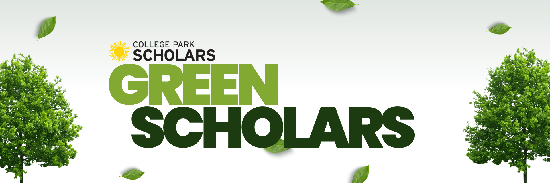 green scholars header image