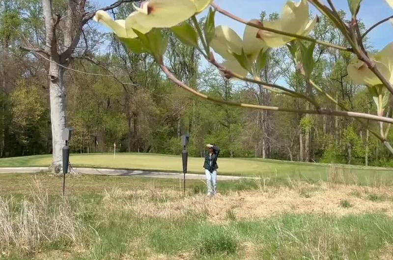 person in the distance standing on green and brown grass